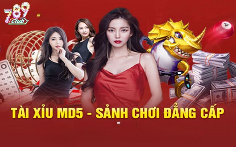 Mẹo đặt cược Tài xỉu MD5 cho hội viên